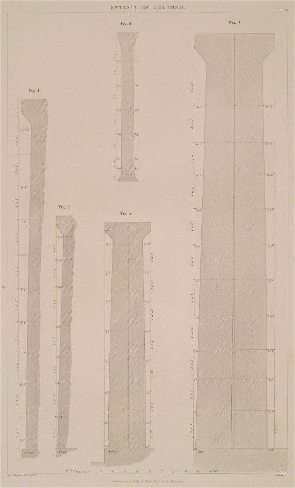 The entasis of various columns Fig 1 Entasis of the columns of the Portico of the Propylaea at Athens Fig 2- Do Do of th - Cockerell Charles Robert Kinnard William Donaldsonthomas Leverton Jenkins William Railton William - 1830
