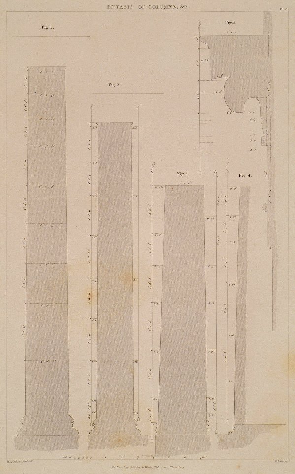 The entasis of various columns Fig 1 Entasis of the columns of the North Portico of the Triple temple, termed the Erecht - Cockerell Charles Robert Kinnard William Donaldsonthomas Leverton Jenkins William Railton William - 1830