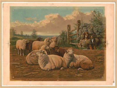 The faithful shepherds) - A.F. Tait, N.Y. (18)97 LCCN93505606