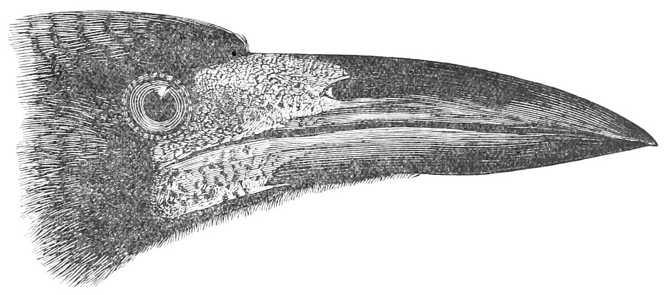 The Fauna of British India, including Ceylon and Burma (Birds Vol 1) 63