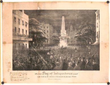 The first flag of independence raised in the South, by the citizens of Savannah, Ga. November 8th, 1860 - drawn by Henry Cleenewerck, Savannah, Ga. ; lithographed by R.H. Howell, Savannah, LCCN2004665374