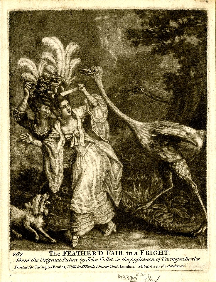 The Feather'd Fair in a Fright (BM 2010,7081.1789)