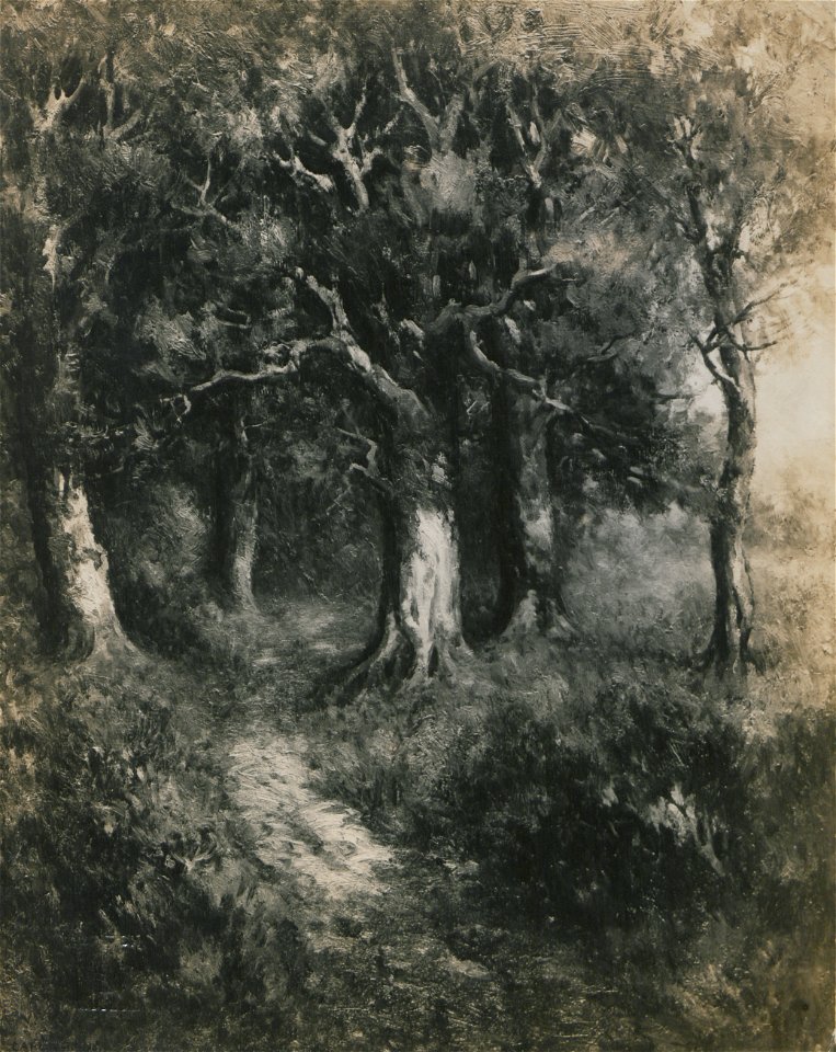 The forest way (HS85-10-24514)