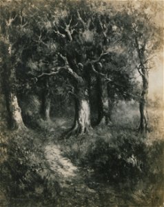 The forest way (HS85-10-24514)