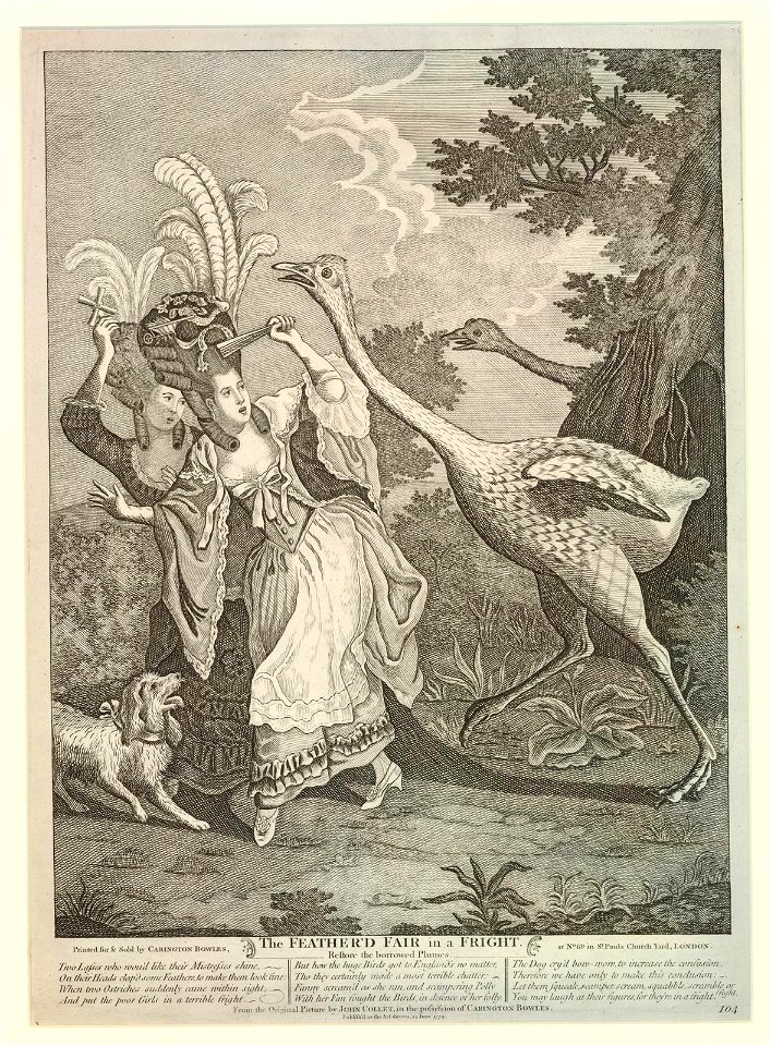 The Feather'd Fair in a Fright (BM 1875,0814.2463)