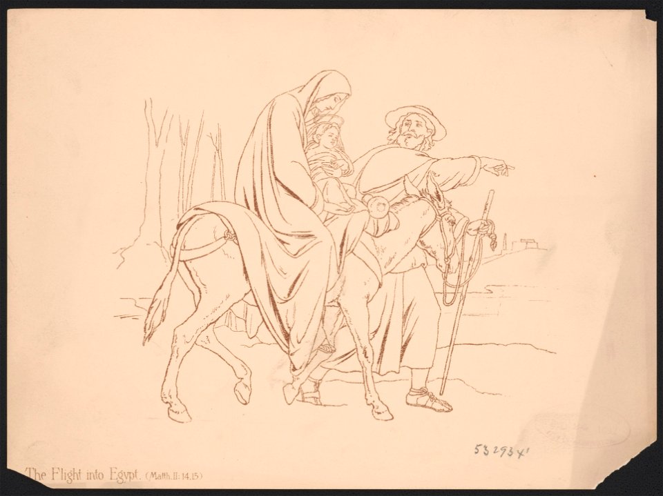The flight into Egypt (Matth. II-14.15) LCCN2016652368