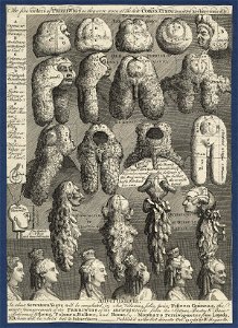 The Five Orders of Perriwigs by William Hogarth