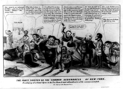 The forty thieves or the common scoundrels of New-York LCCN2008661348