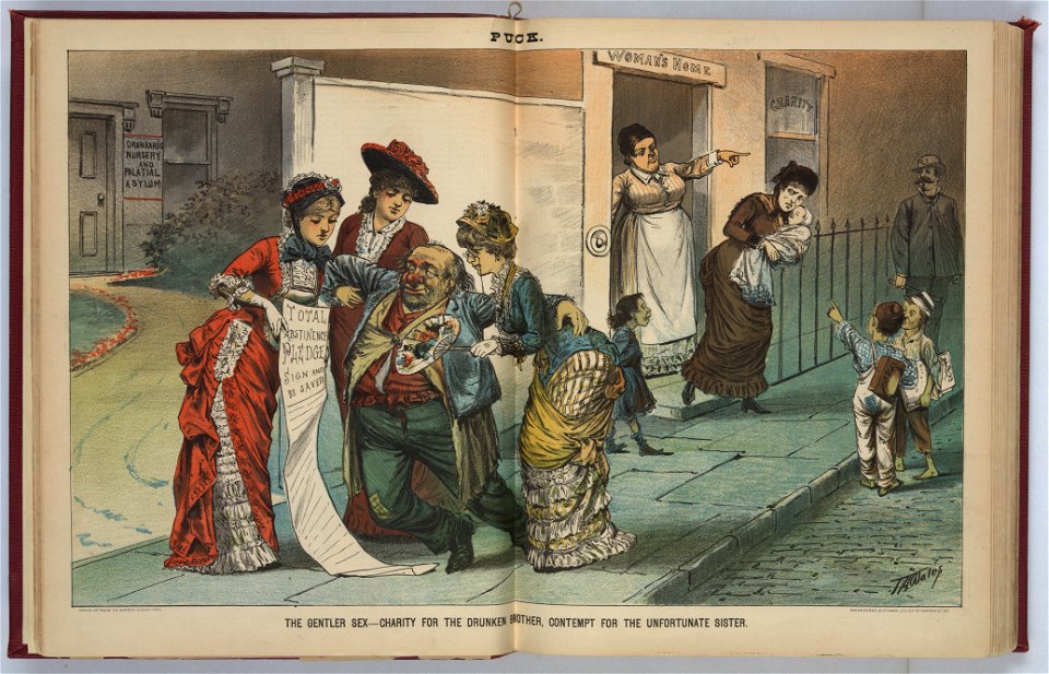 The gentler sex - charity for the drunken brother, contempt for the unfortunate sister - J.A. Wales. LCCN2012647287