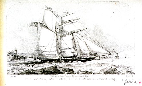 The Gitana 168 Tons, Ralph Ward Jackson Esq. Published in Hunt's Yachting Magazine April 1854 RMG PU6549