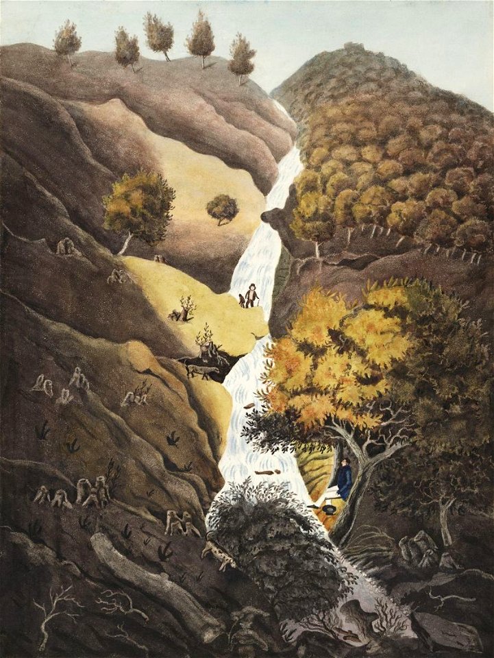 The Frwd nigh Devils Bridge wpr00001