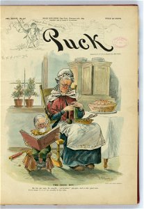 The good boy - J.S. Pughe. LCCN2012648608