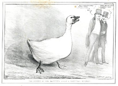 The goose of the Capitol alias a Capital Goose! (BM 1857,1222.92)