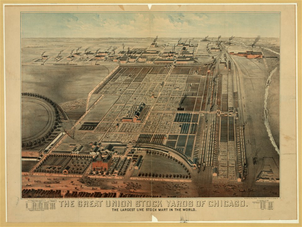 The Great Union Stock Yards of Chicago. The largest live stock mart in the world LCCN2003677587