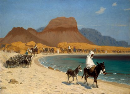 The Gulf of Aqaba P543