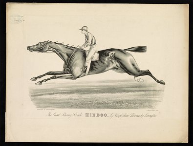 The great racing crack Hindoo, by Virgil, dam Florence, by Lexington LCCN92506313