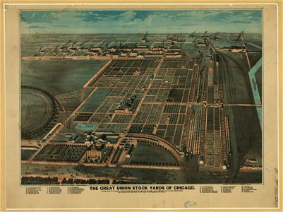 The Great Union Stock Yards of Chicago LCCN90712275