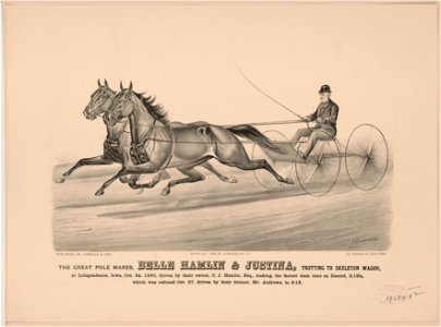 The great pole mares, Belle Hamlin & Justina, trotting to skeleton wagon- at Independence, Iowa, Oct. 24, 1890, driven by their owner, C.J. Hamlin, esq., making the fastest team time on LCCN2001704285