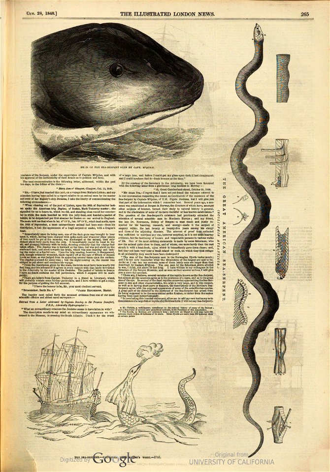 The Great Sea-Serpent - ILN 1848 page 265