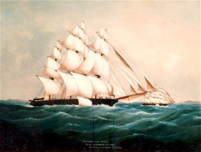 The Great Tea Race
