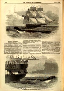 The Great Sea-Serpent - ILN 1848