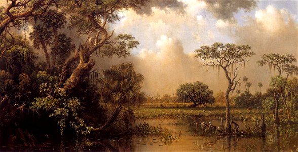 The Great Florida Marsh Martin Johnson Heade 1886