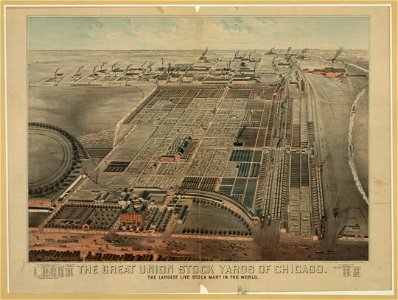 The Great Union Stock Yards of Chicago. The largest live stock mart in the world LCCN2003677587