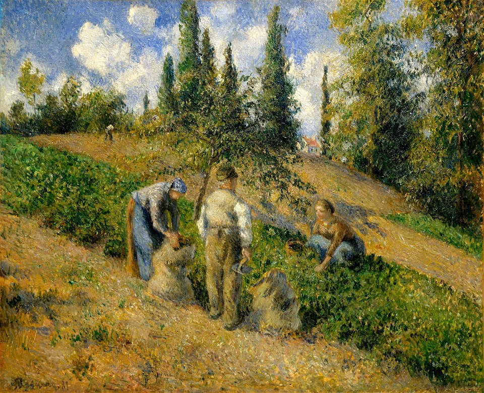 The Harvest, Pontoise