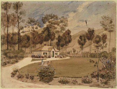 The home of Mr & Mrs William Bishop, Maitai Valley A-144-011