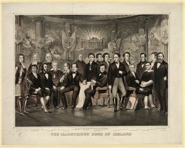 The illustrious sons of Ireland - painted by J. Donaghy. LCCN2004669161