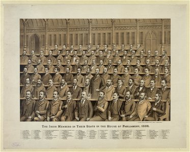 The Irish members in their seats in the House of Parliament, 1886 LCCN2012648837