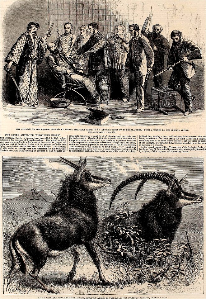 The illustrated London news (1861) (14780428512)