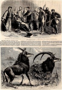 The illustrated London news (1861) (14780428512). Free illustration for personal and commercial use.