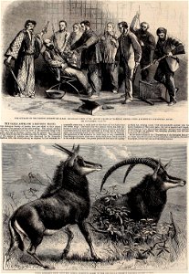 The illustrated London news (1861) (14780428512)