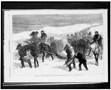 The Indian campaign-prisoners captured by General Custer - sketched by Theodore R. Davis. LCCN96521178
