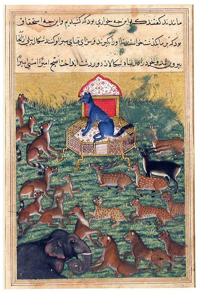 The Jackal who Pronounced Himself King (6124529569)