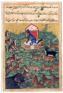 The Jackal who Pronounced Himself King (6124529569)