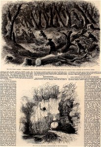 The illustrated London news (1861) (14779611932). Free illustration for personal and commercial use.