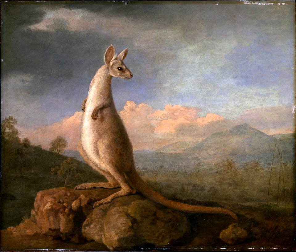 The Kongouro from New Holland (Kangaroo) NMM ZBA5754 (cropped)