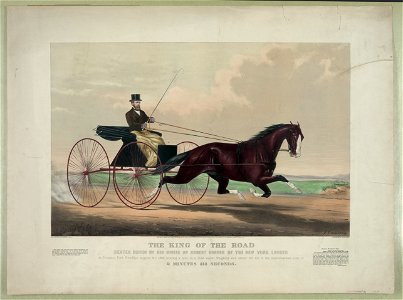 The king of the road- Dexter driven by his owner Mr. Robert Bonner of the New York Ledger at Prospect Park Brooklyn August 31st 1869, trotting a mile to a road wagon. weighing with driver LCCN2002707708
