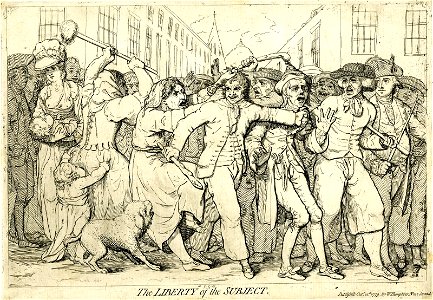 The liberty of the subject. (BM 1851,0901.18)