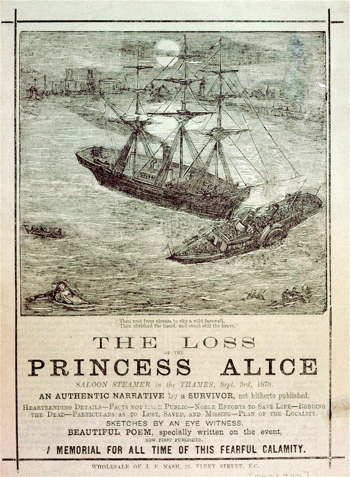 The Loss of the Princess Alice saloon steamer in the Thames, Sept 3rd, 1878. An Authentic Narrative by a Survivor, not hitherto published. Heartrending Details - Facts not made public - Noble efforts to save life - RMG PU6772