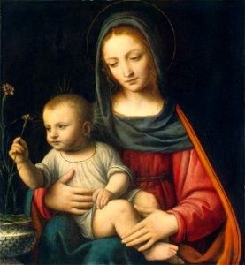 The Madonna of the Carnation by Bernardino Luini. Free illustration for personal and commercial use.