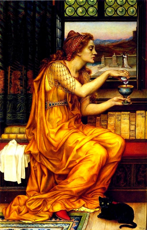 The Love Potion