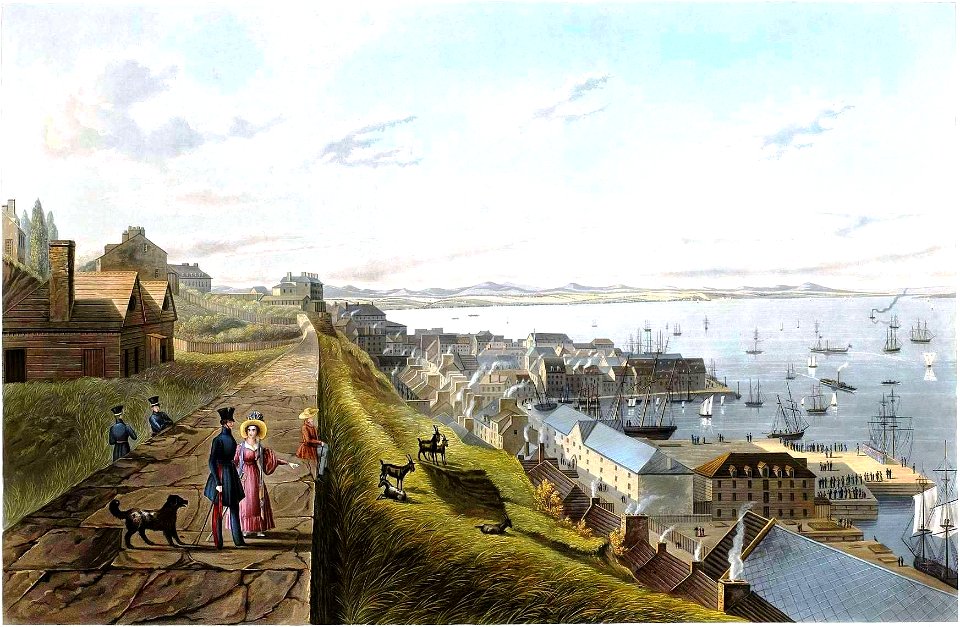 The Lower City of Quebec from the Parapet of Upper City
