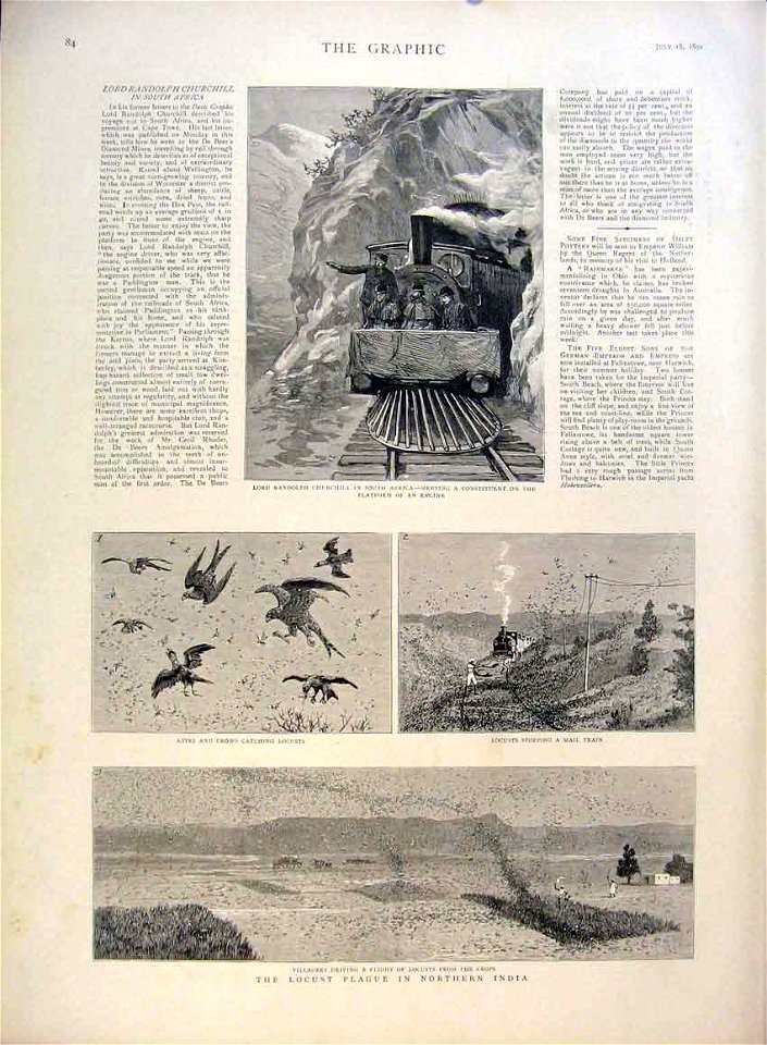 The Locust Plague in Northern India - The Graphic 1891