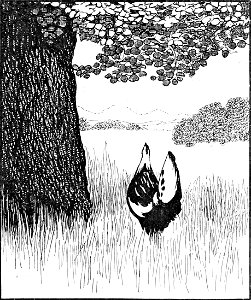 The Little Cock and the Little Hen 03