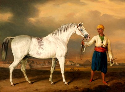 The Malcolm Arabian by Henry Bernard Chalon, 1819