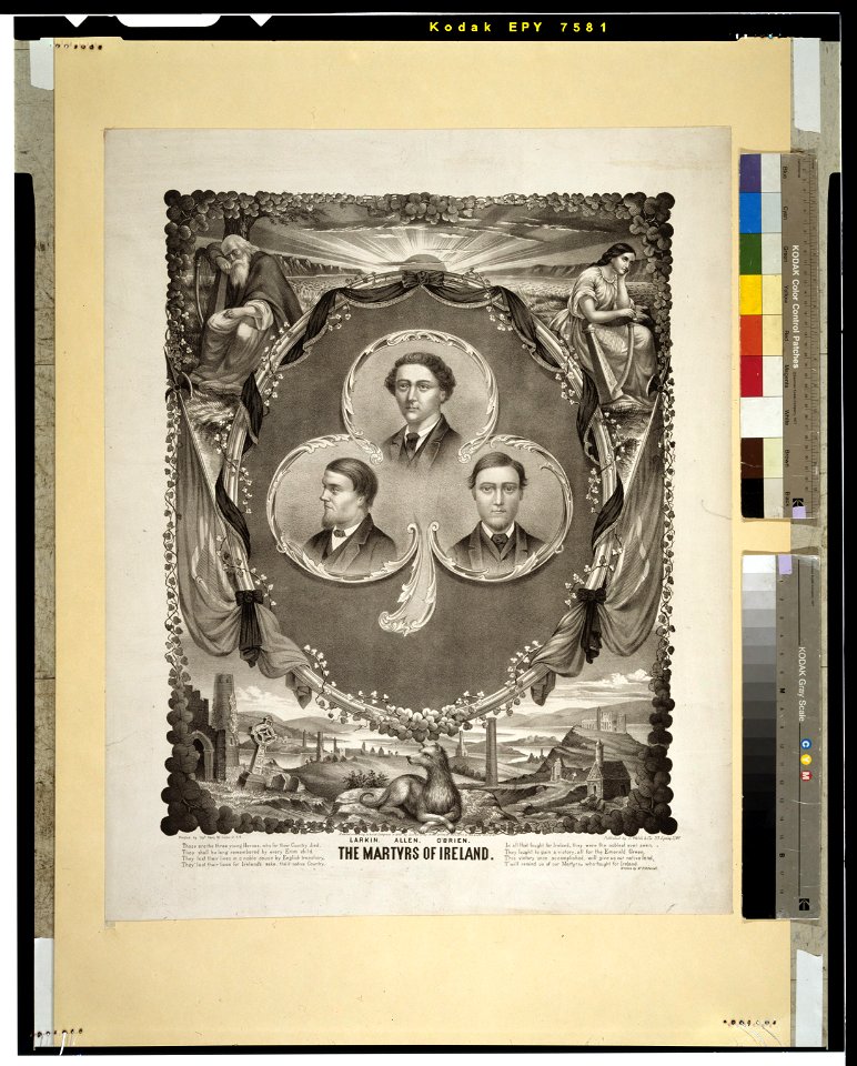 The martyrs of Ireland LCCN2004670088