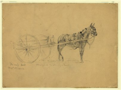 The mess cart. Aug. 6, 1863 LCCN2004661537